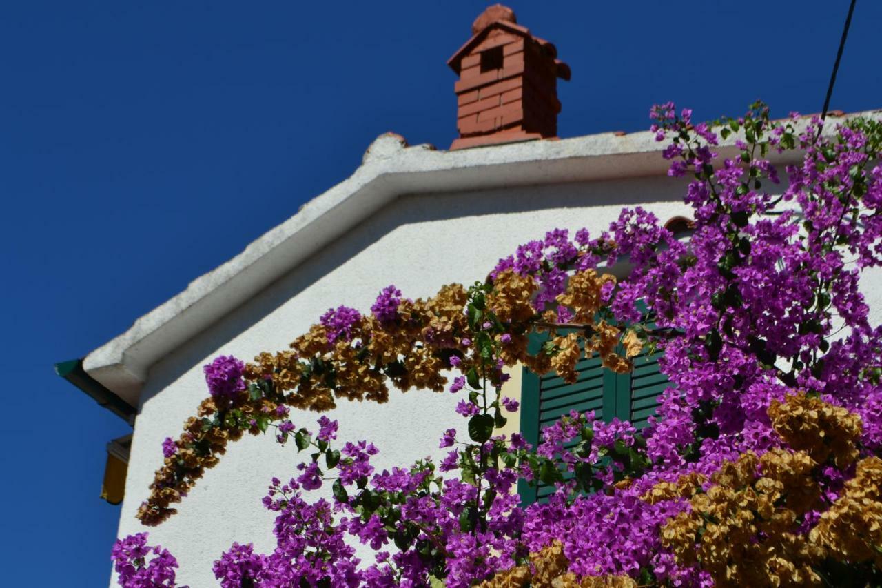 House Niva * Supetarska Draga